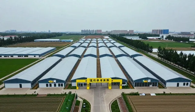 区域推广在企业信息业务中的战略价值与实践路径