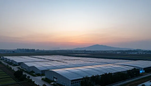 区域信息查询如何推动黄页业务的转型与升级
